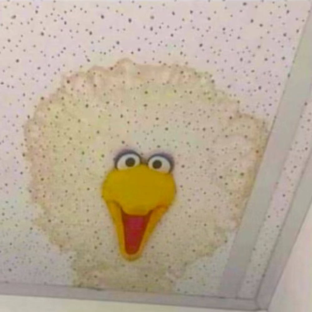 Meet your Posher, Eugene